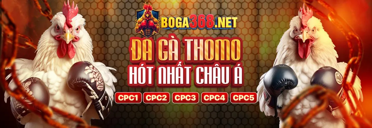 Đá Gà Trực Tuyến 12win Khuyến Mãi